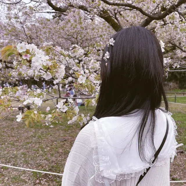 城月菜央 — 相片 270